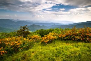 A scenic photo of the Blue Ridge Mountains.